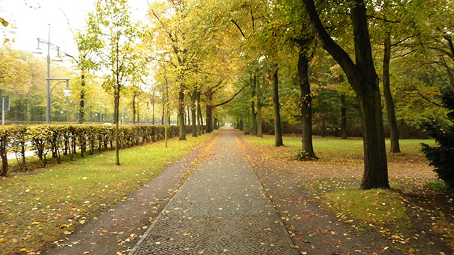 Tiergarten