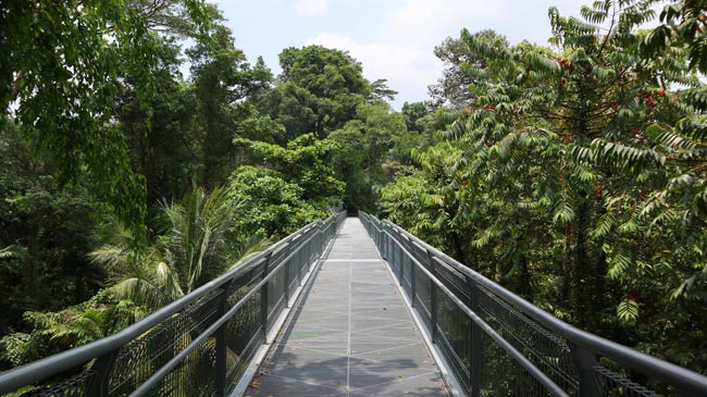 The-Southern-Ridges-Singapura