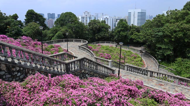 Telok-Blangah-Hill-Singapura