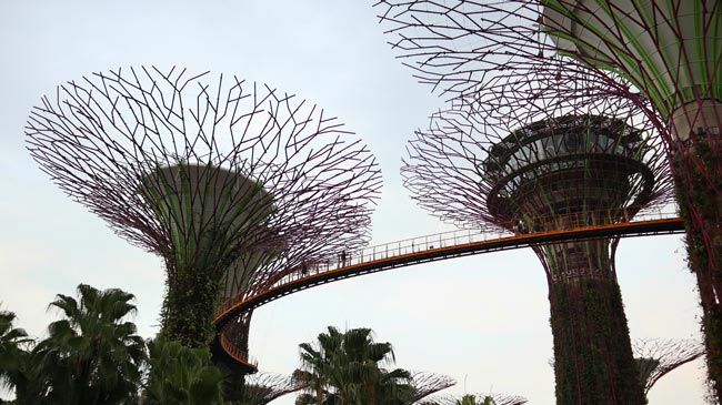 Supertree-Grove-Singapura