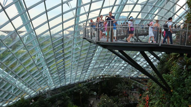 Cloud-Forest-Singapura