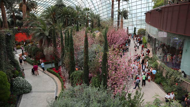 Flower-Dome-Singapura