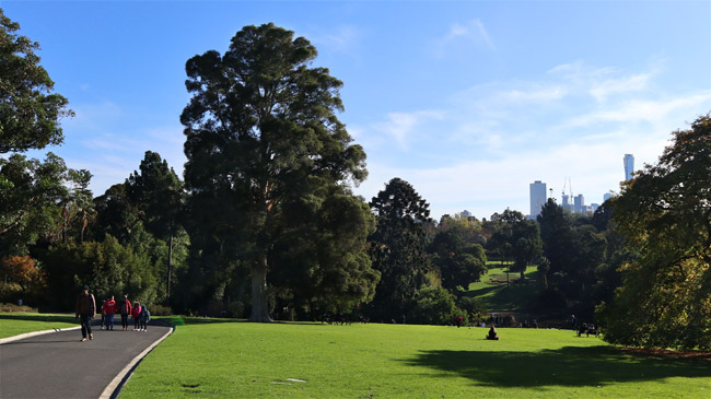 jardim botanico de melbourne