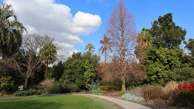 jardim botanico de melbourne