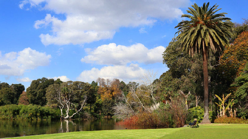 jardim botânico