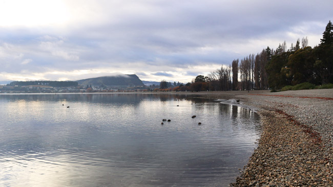 Roteiro de 1 dia em Wanaka