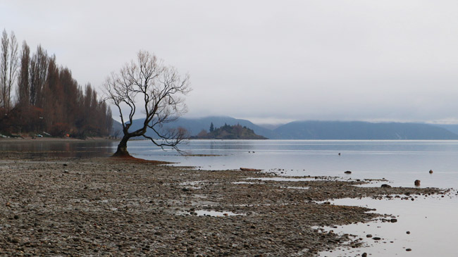 Roteiro de 1 dia em Wanaka