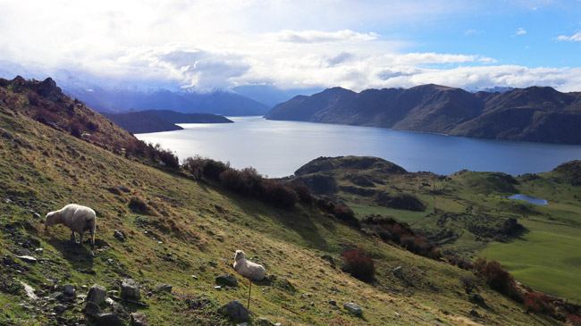 Roteiro de 1 dia em Wanaka