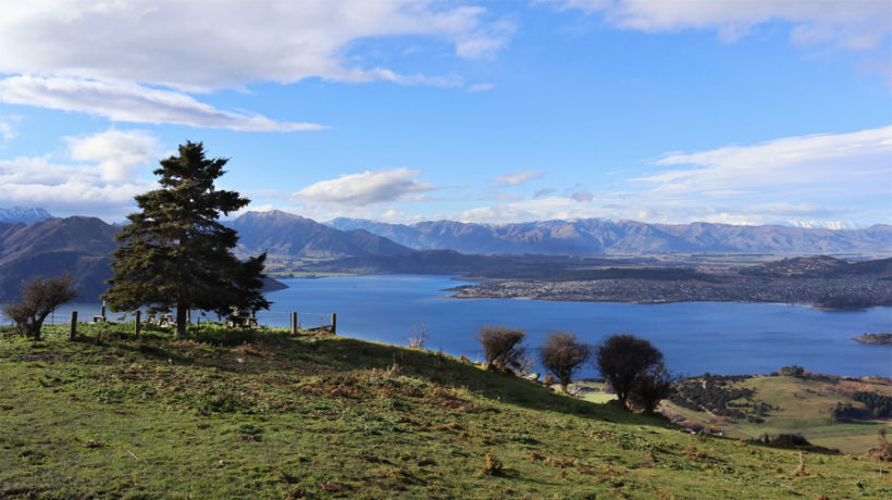 Roys Peak