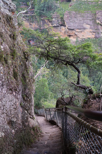 Furber Steps