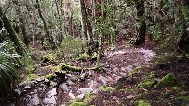 Cradle Mountain