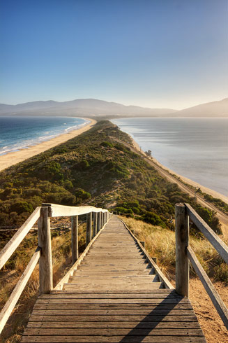 Brunny Island