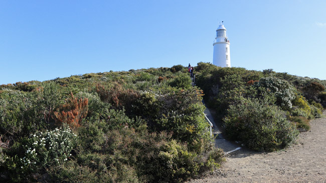 Cape Bruny Lighthouse