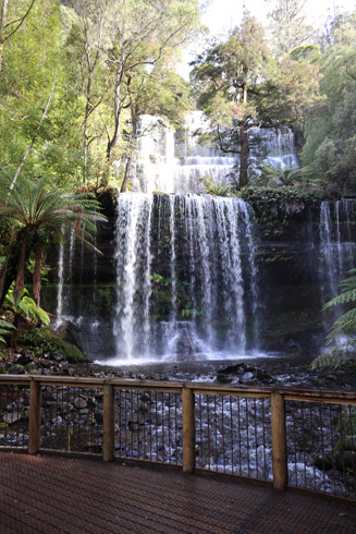 Mount Field National Park