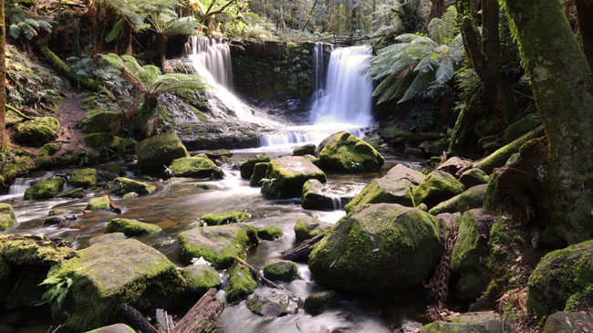 Mount Field National Park