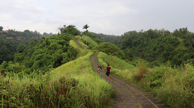 Bali